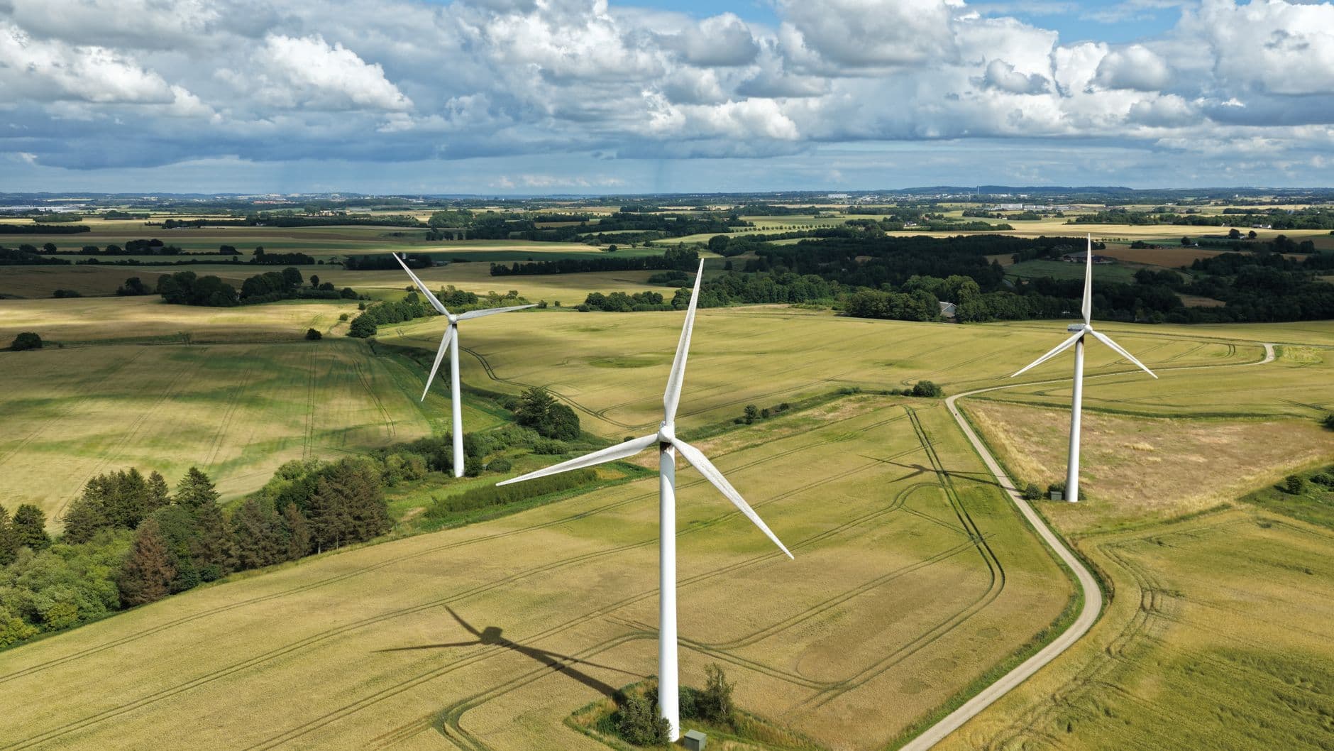 Grand parc éolien terrestre avec des turbines blanches au milieu de champs agricoles danois.